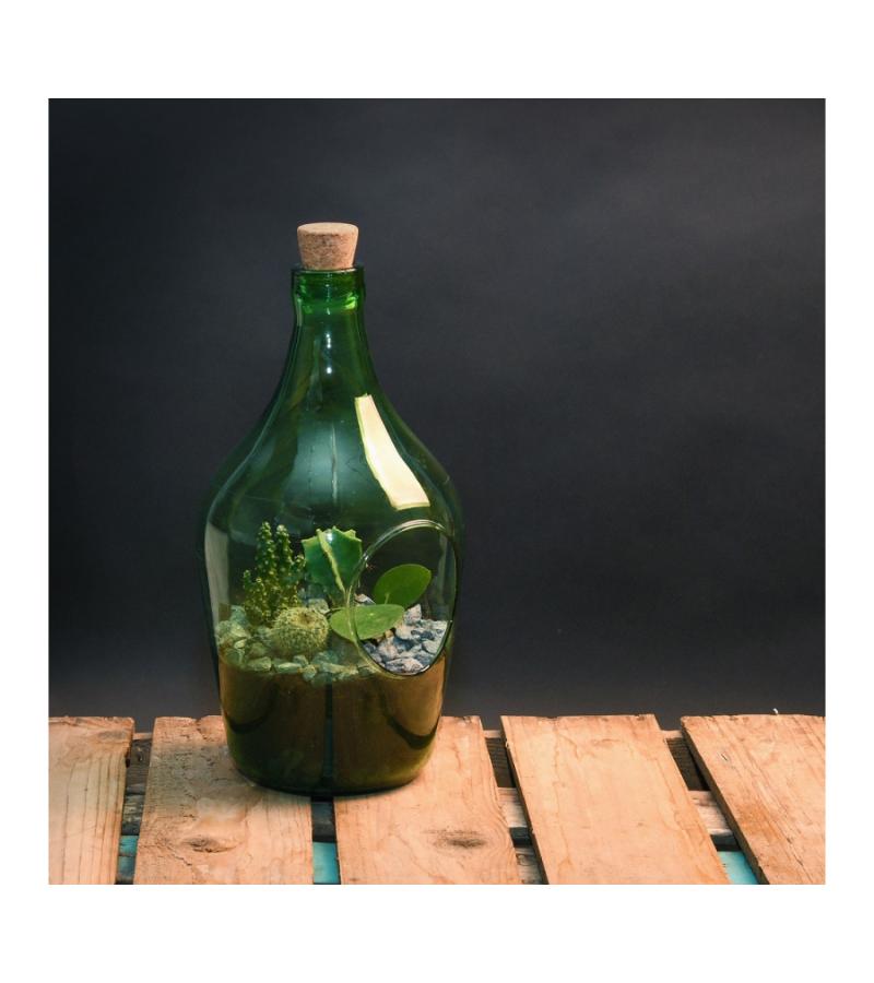 Open terrarium fles S 3L 16x16x30 cm groen